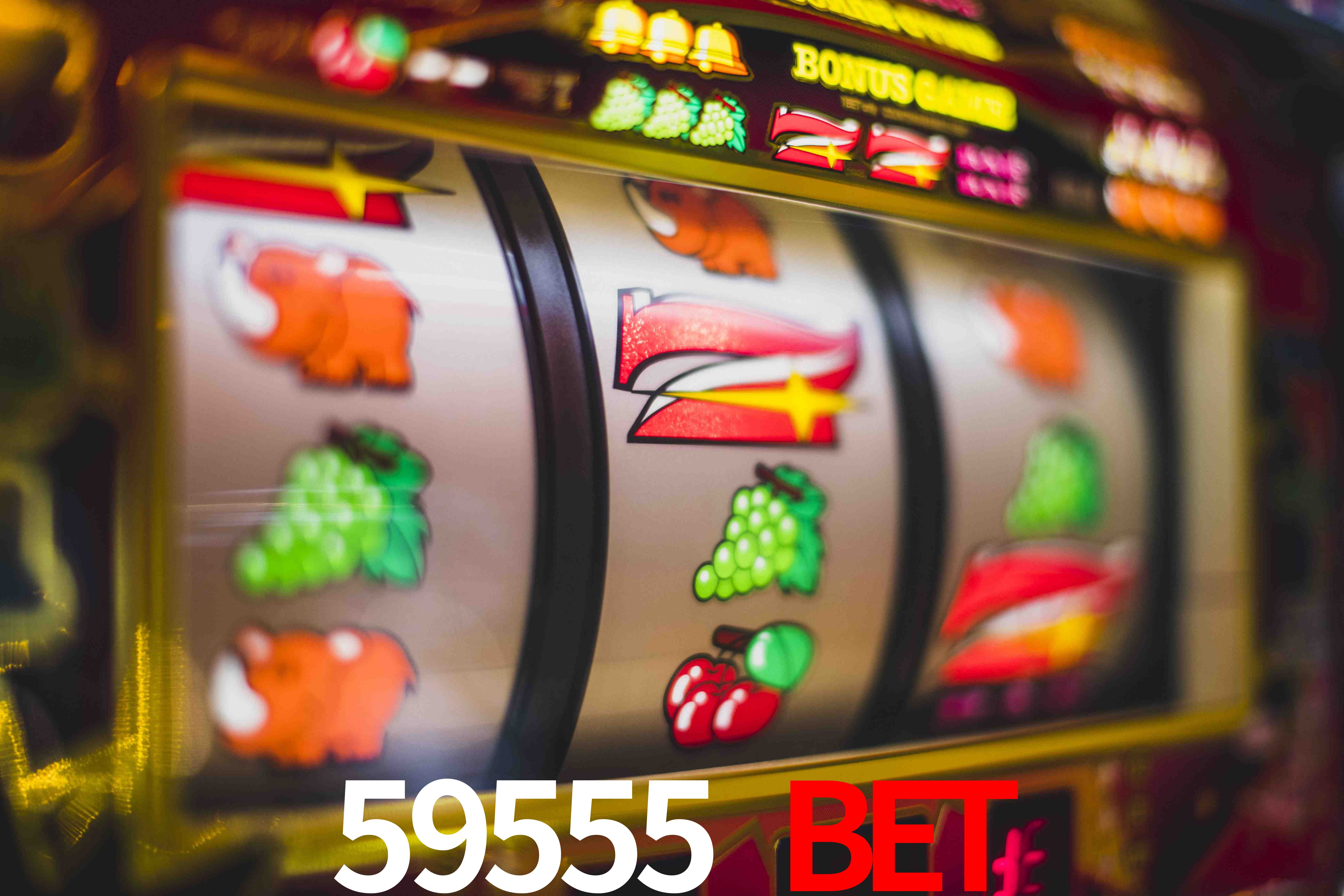 VIP Casino 59555 BET